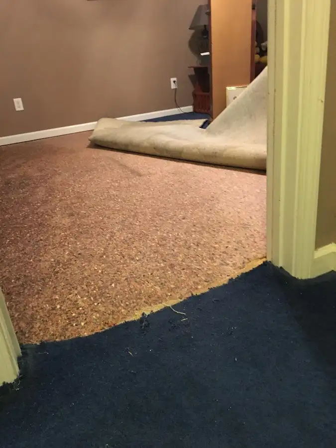 Carpet pad removal revealing water damage during Drying & Dehumidification in Fairfax