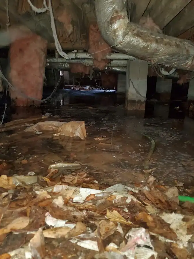 Crawl space flood assessment for Commercial Water Damage Restoration in Fairfax