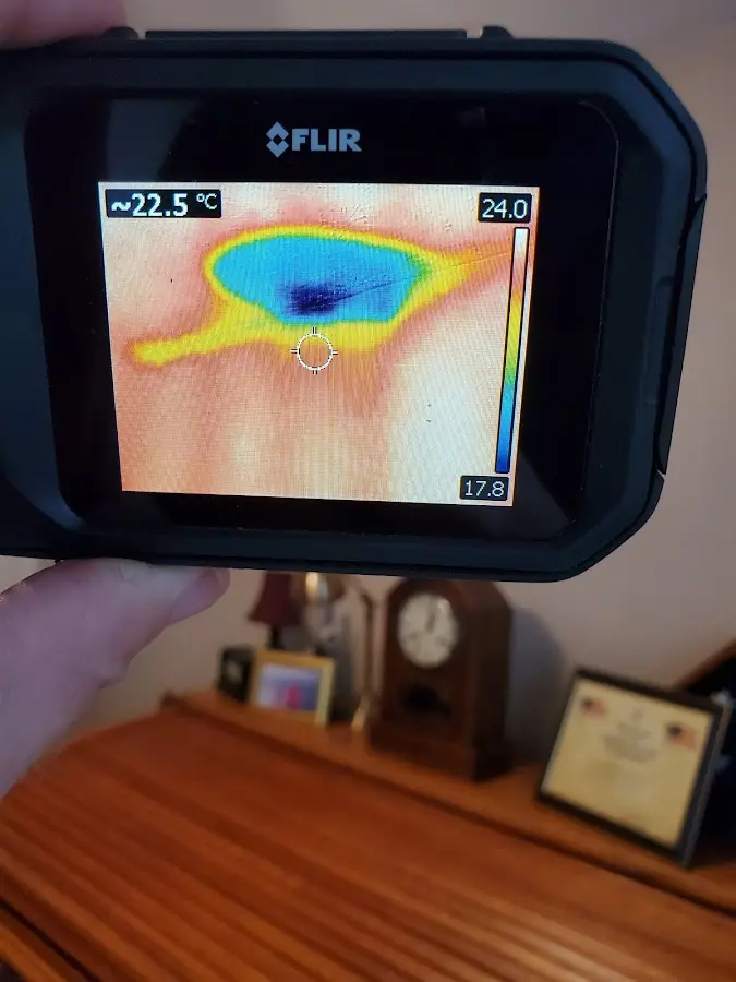 Thermal imaging inspection for water damage in Fairfax