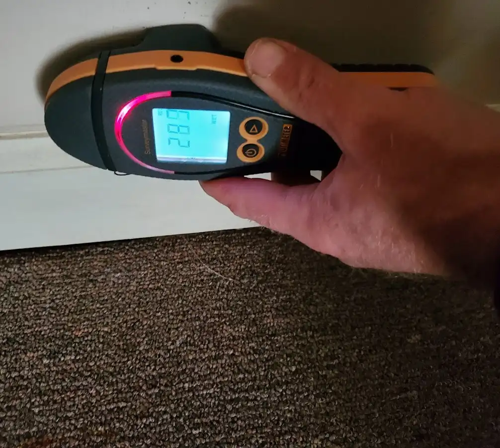 Moisture detection at baseboard during Sewage Cleanup & Sanitation in Fairfax